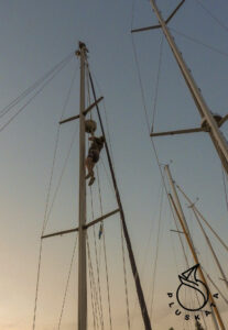 Rastaholm Tomek on the mast
