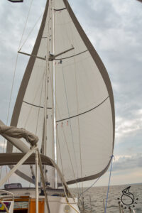 Almost a spinnaker
