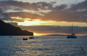 Funchal sunset