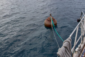 Salvagem buoy