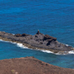 Isla de Lobos