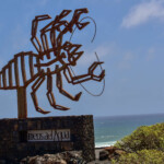 Jameos del Agua znak