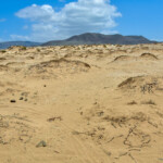 La Graciosa