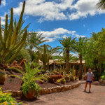 Oasis Park