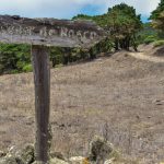 Bascos