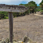 Bascos
