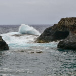 Charco Manso