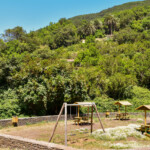 El Cedro