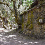 Fountes de Cruz de los Reyes