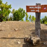 Malpaso