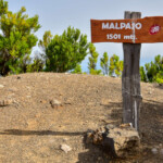 Malpaso