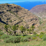 El Cercado