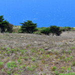 El Hierro