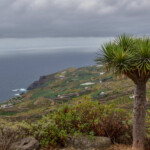 La Palma mirador