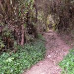 La Palma wawoz do Cubo de La Galga