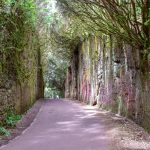 Parque rural de Anaga wawoz
