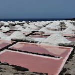 Salinas czerwone