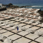 Salinas prace