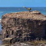 Ponta do Sol