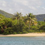Cayo Luis Pena