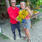Choinka bananowa
