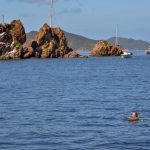 Pelican Island