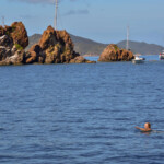 Pelican Island