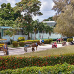 St Lucia