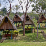 La Terasa