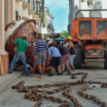Havana