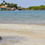 Aruba Plaża