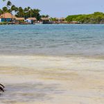 Aruba Plaża