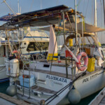 Pluskata
