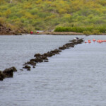 Curacao resztki salinas