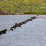 Curacao resztki salinas