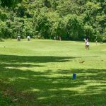Pole golfowe