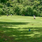 Pole golfowe