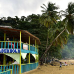 Cascreole