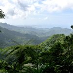 Grenada Qua Qua