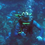 Tobago Tomek