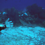 Tobago