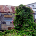Bequia
