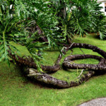 Martynika Ogrod botaniczny drzewo
