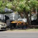 Basseterre stragan