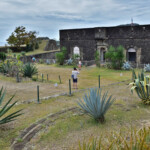 Fort Napoleona