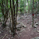 Terre de Bas