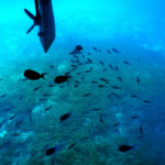 Klein Curacao