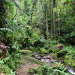Treking do zaginionego miasta