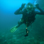 TOmek