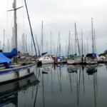 Shelter Bay Marina